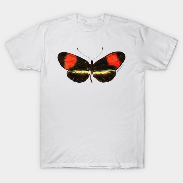 Orange & Black Butterfly T-Shirt by srwdesign